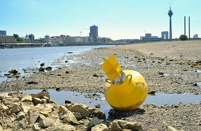 Klimarisiko-Niedrigwasserpegel-Rhein