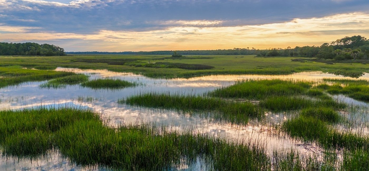 Moorlandschaft mit vernässten Wiesen vor einem Wolkenhimmel symbolisiert den FutureCamp-Artikel zur Veröffentlichung des CRCF-Rechtsaktes zu Carbon Farming