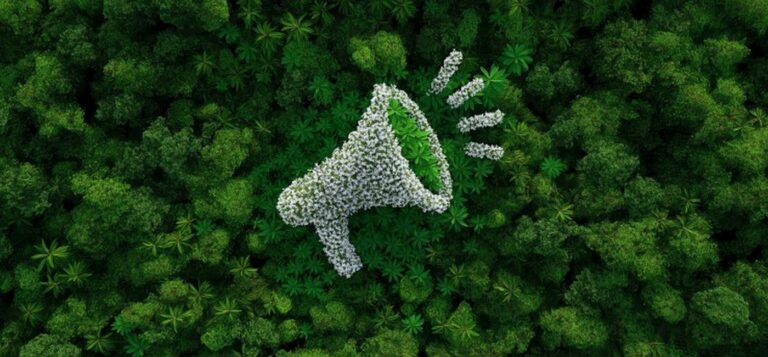 Ein Megaphon aus Blüten vor grünen Blättern als Symbol für EmpCo - Prüfung von Umweltaussagen