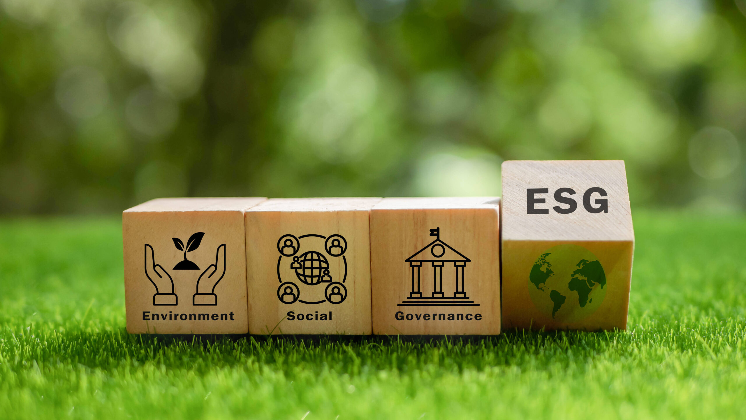 Vier Holzblöcke mit Symbolen für ESG Bestandteile auf grüner Wiese als Symbol für die Veröffentlichung der Revised ESRS und des neuen Voluntary Standards im EU Amtsblatt