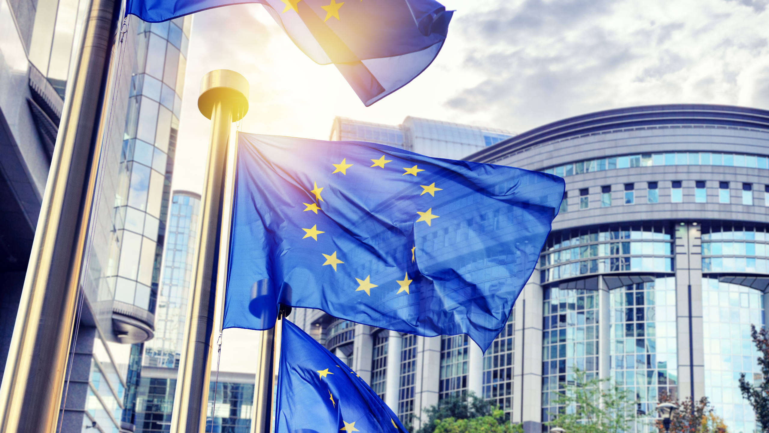EU Flaggen in Brüssel als Symbolbild für die Veröffentlichung der EU Leitlinien zur Zwangsarbeitsverodnung
