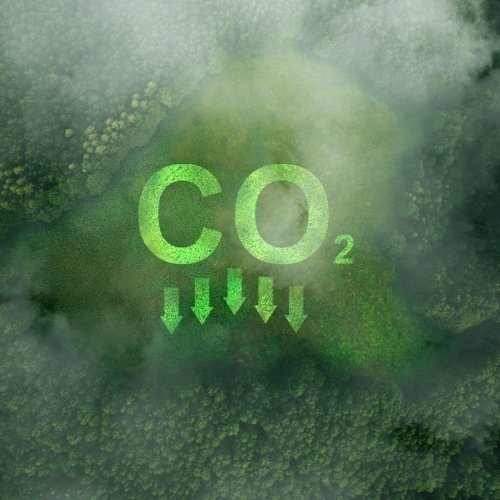 Thomas Mühlpointner ist Key Expert für Negative Emissionen auf der Munich Climate Week